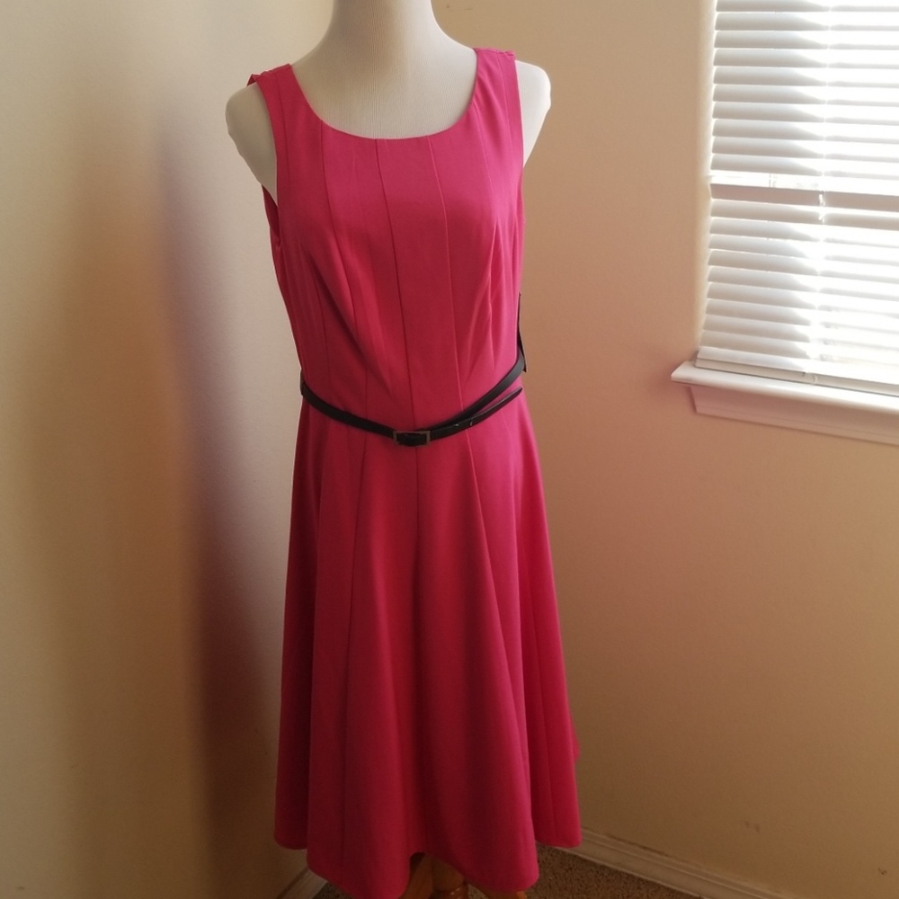BNWT Pink Belted A-Line Dress